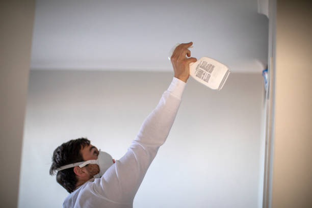 Best Crawl Space Mold Removal  in Weissport East, PA