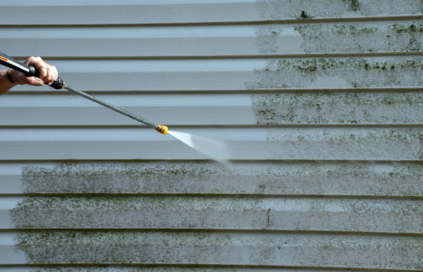 Best Mold Removal Process  in Weissport East, PA