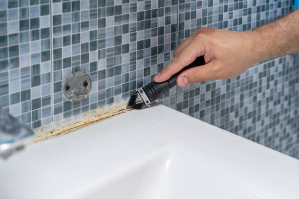 Mold Removal Process in Weissport East, PA