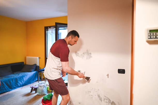 Professional Mold Removal in Weissport East, PA